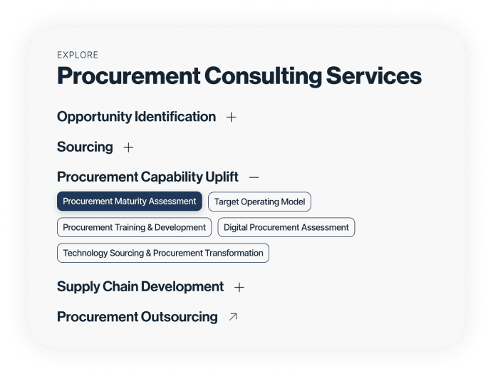 Menu dei servizi di procurement consulting